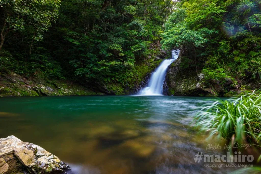 奄美大島観光タクシー 観光モデルケース