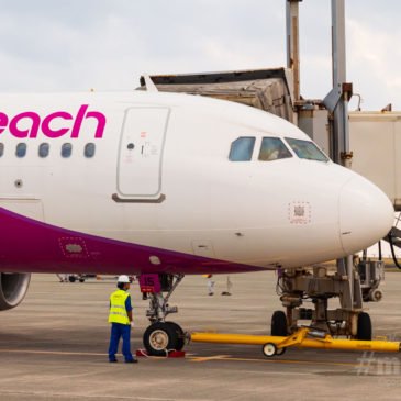 Peach 大阪(関西)-奄美線就航