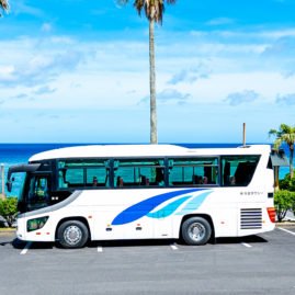 大島タクシー 奄美大島観光貸切バス 中型バスの写真