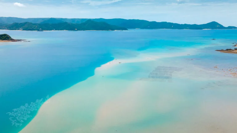 かくれ浜 machiiro 記事写真 4