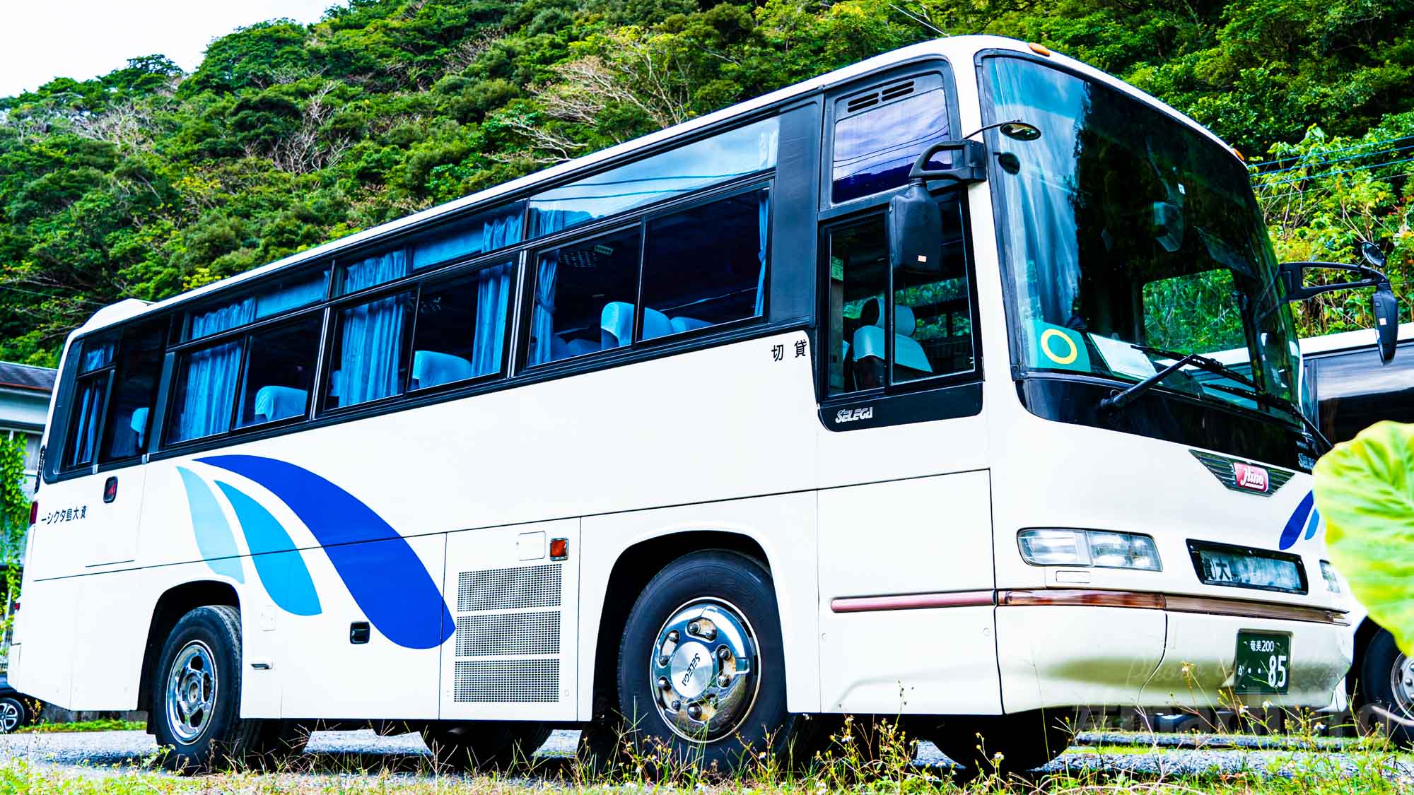 バス事業 奄美大島観光からご近所まで タクシーなら大島タクシー