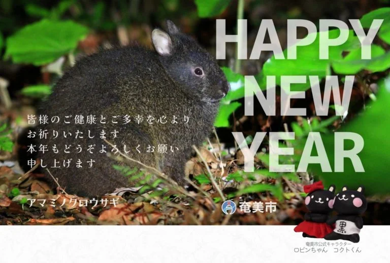 kc86zvhmvbuuhtvaiel5ismidpalz8irjiqtavgy